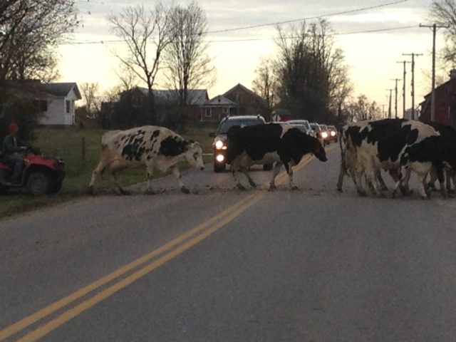 Vermont traffic jam